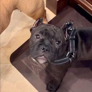 Meet your Posher, Anna